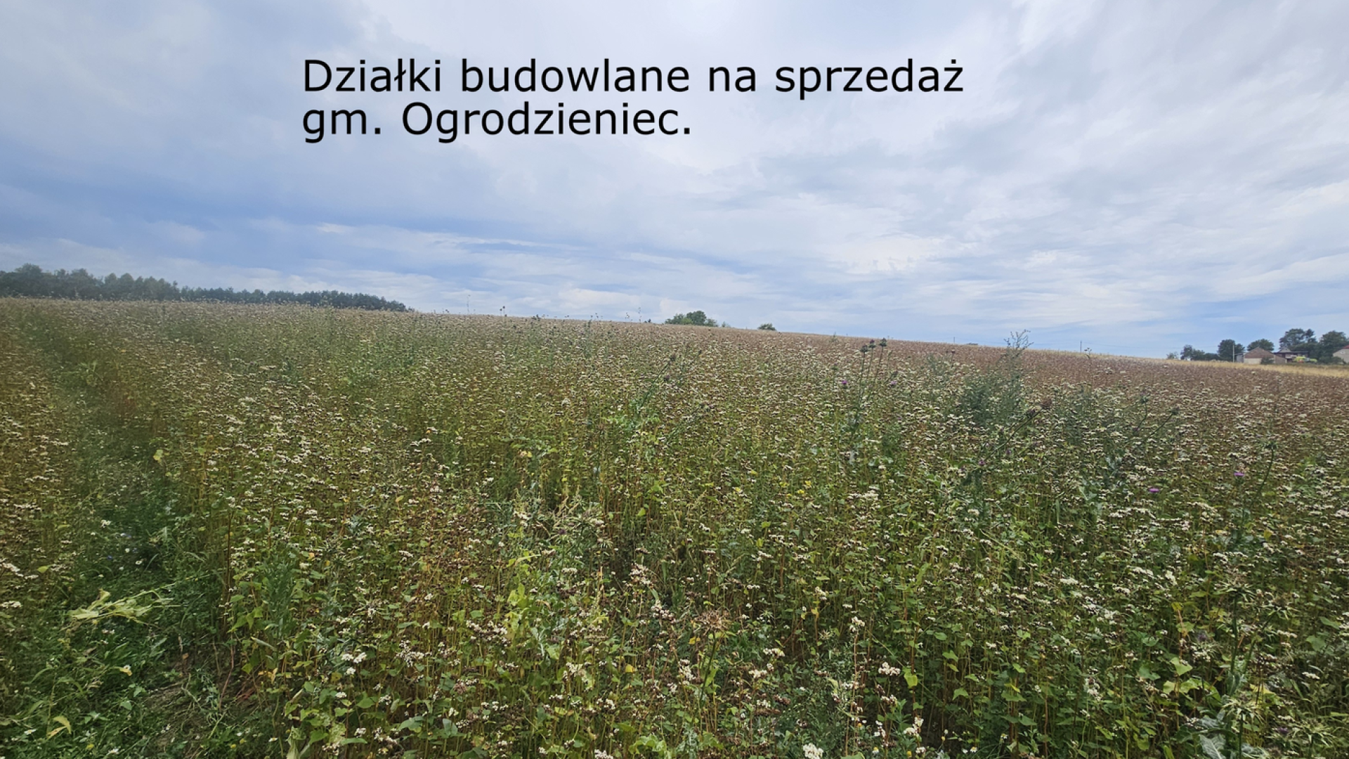Screenshot 2026-08-30 at 18-21-42 Poczta w Interii